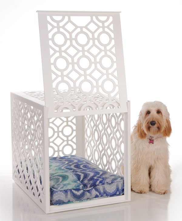 a dog sitting in front of a white chair with a cushion on it's back