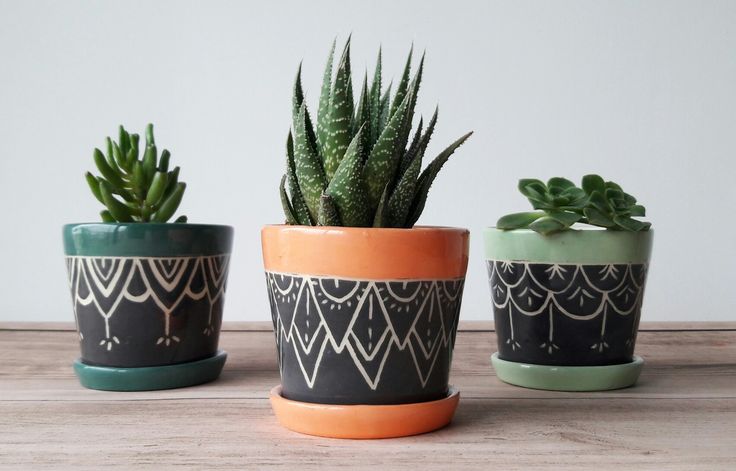 three potted plants sitting on top of a wooden table