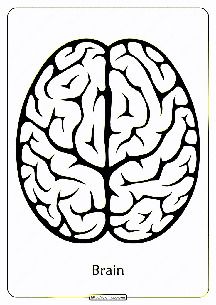 Printable Picture Of Brain