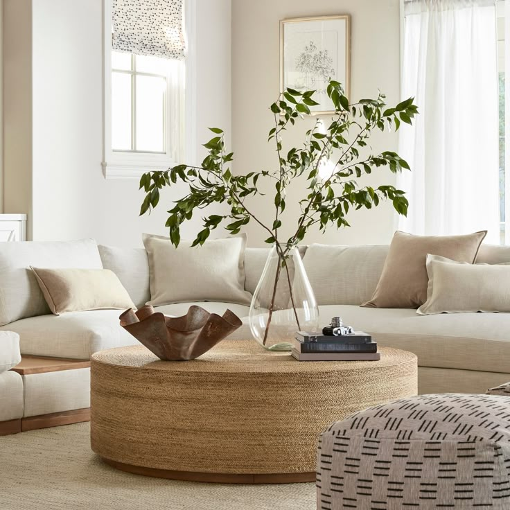 a living room filled with furniture and a plant on top of a wooden coffee table