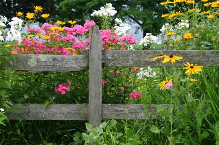 a wooden fence surrounded by lots of flowers