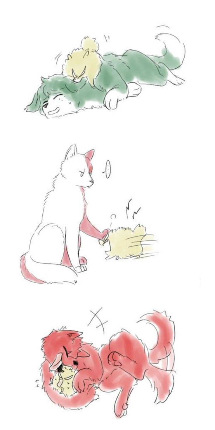 [Dog] Midoriya Izuku & [Dog] Bakugou Katsuki & [Wolf] Todoroki Shouto ...