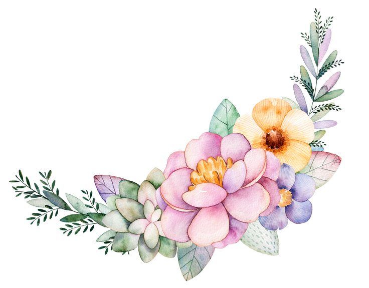 a watercolor painting of flowers and leaves