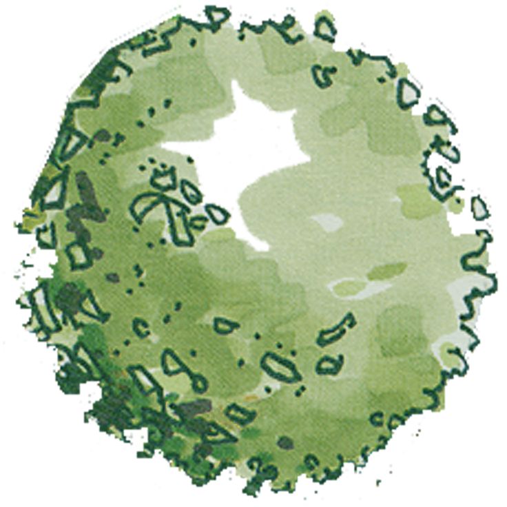 a drawing of a green circle with letters on it