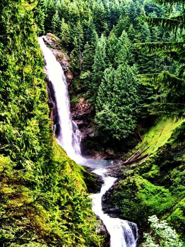 a waterfall surrounded by lush green trees in the middle of a mountain side area with water running down it's sides