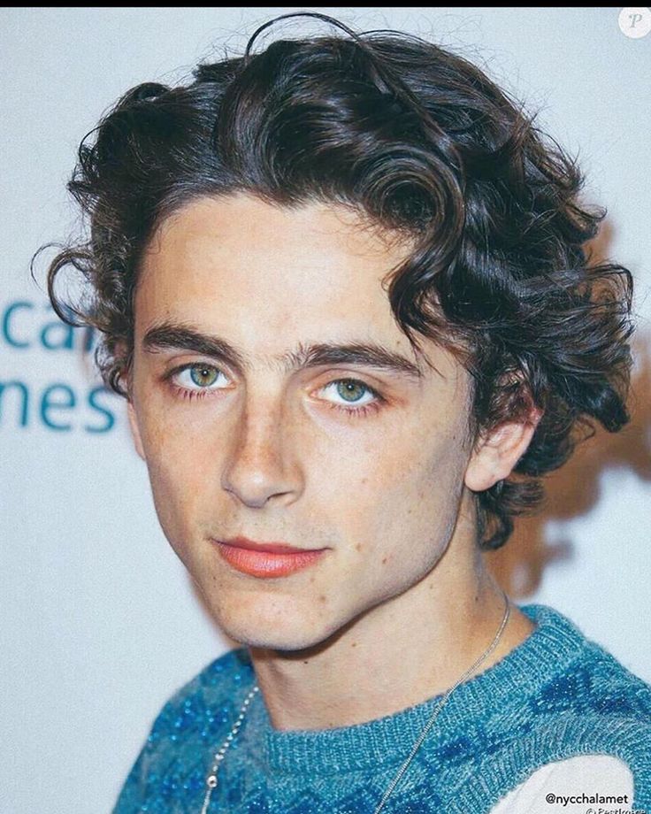 a young man with curly hair and blue sweater looking at the camera while standing in front of a white background