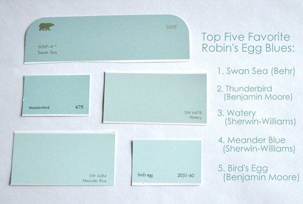 top five robins egg blue paint colors Robins egg blue paint, Blue