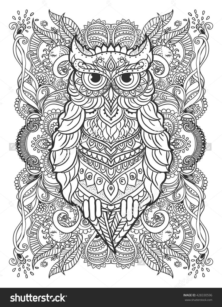 Ornament Owl Vector Beautiful Illustration Owl Stock Vector (Royalty ...