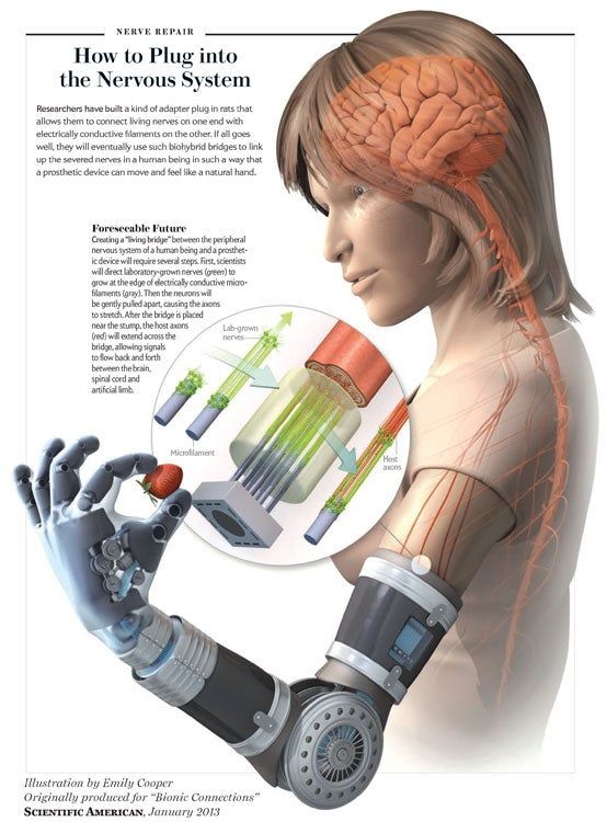 an image of a person with a robot arm and brain on it's back