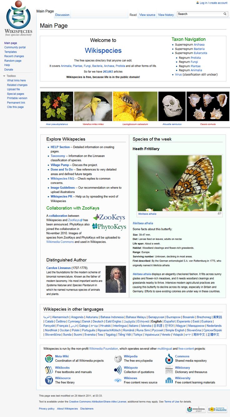 an image of a web page with many different pictures on the front and back pages