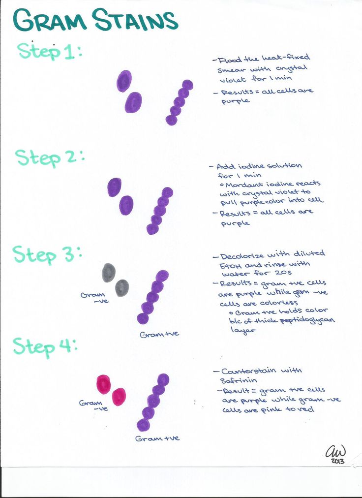 the steps in how to make a crochet granny granny granny granny granny granny granny granny