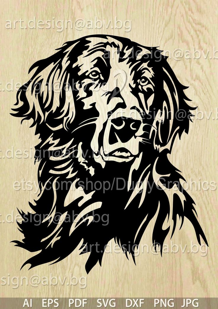 a black and white dog's face is shown on a wooden background with the words,