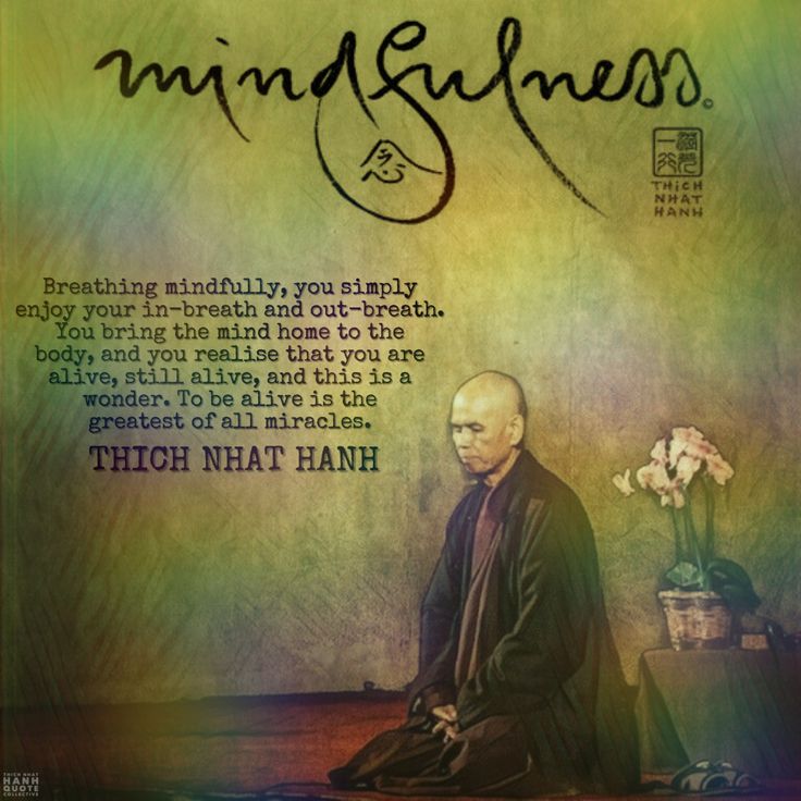 075F1E93259740FB9C4139537E06F9DA Thich nhat hanh