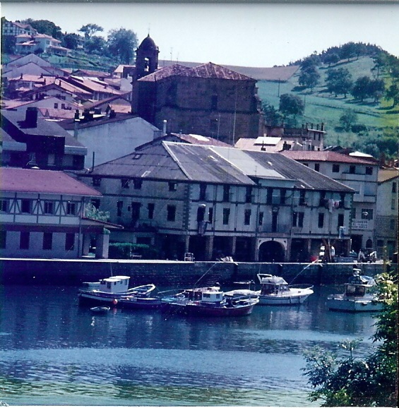 there are many boats that are in the water near some buildings and hills behind them