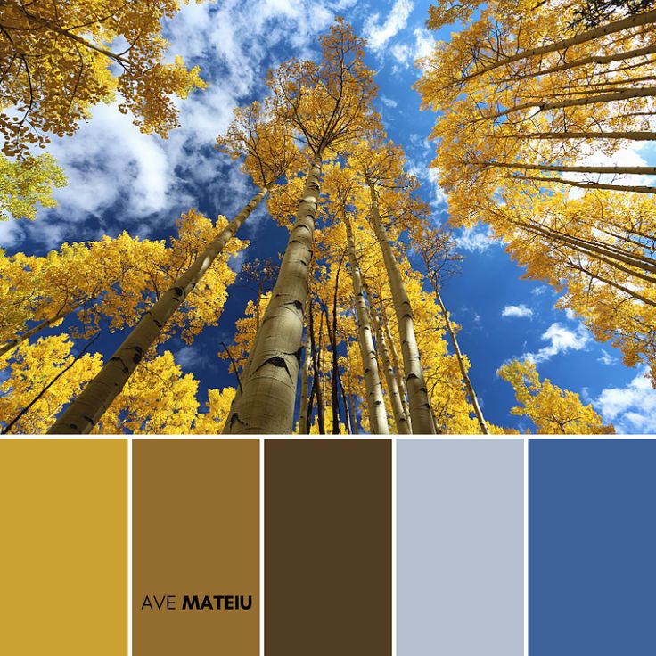 Fabulous Fall Color Palette Hex Rgb Code Fall Color P - vrogue.co