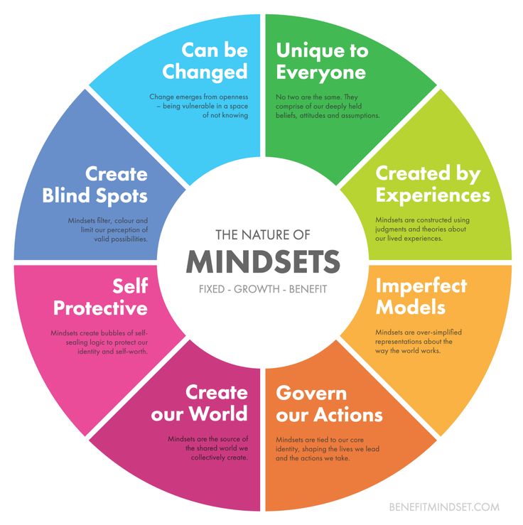 the nature of minds wheel with five different words in each circle and four sections labeled