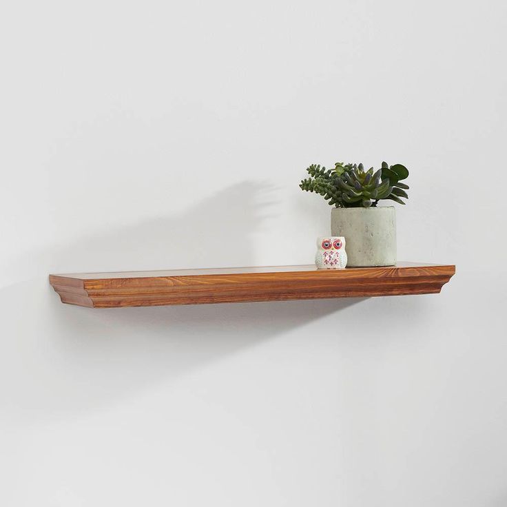 a potted plant sitting on top of a wooden shelf next to a white wall