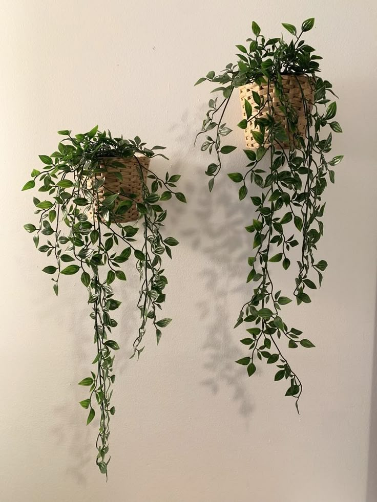 two hanging planters with green leaves on the side of a wall, one has a bird feeder