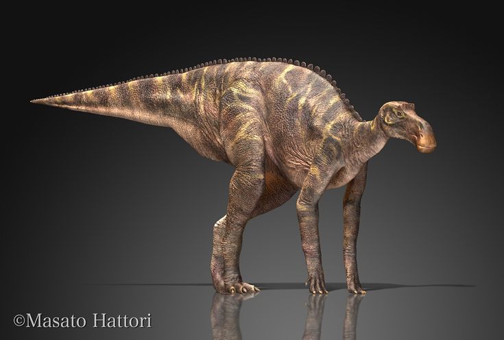 an image of a dinosaur that is looking at the ground with its head turned to the side