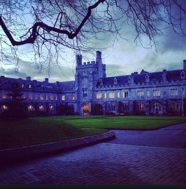 a large building with many windows lit up at night