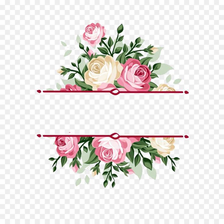 pink and white roses with green leaves on transparent background