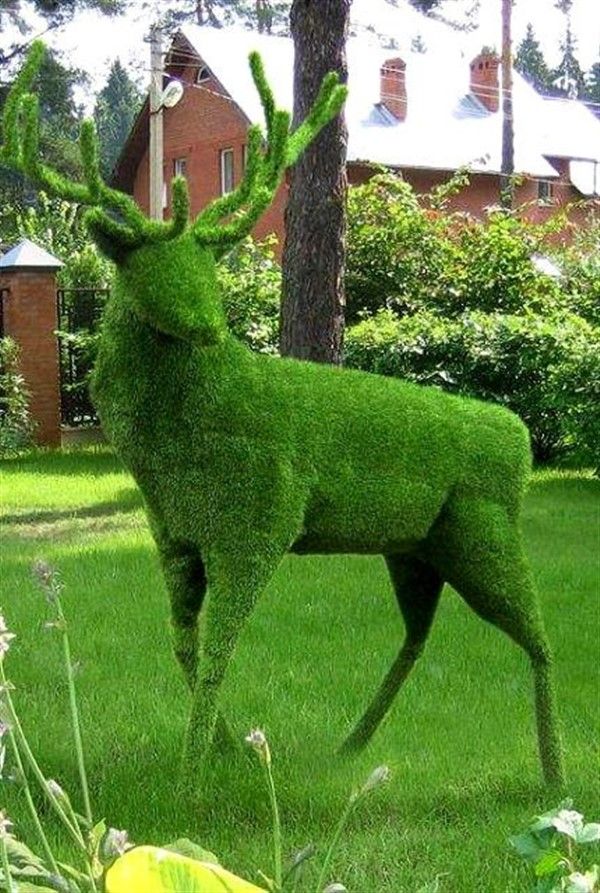 Animal Topiary Ideas for Amazing Gardens | Топиар, Искусство устройства садов, Сад с