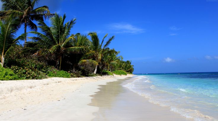 the beach is lined with palm trees and clear water