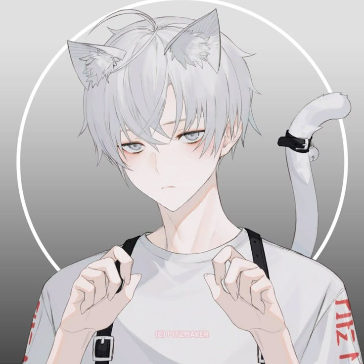 an anime character with white hair and grey eyes holding a black cat on his shoulder