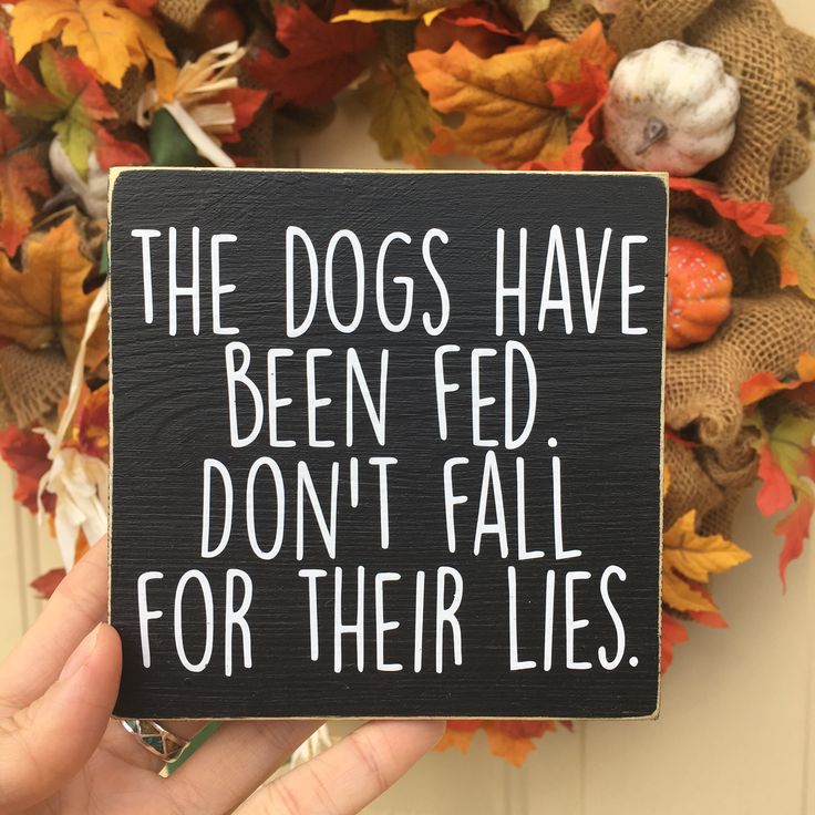 a sign that says the dogs have been fed don't fall for their lies