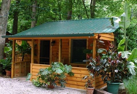 a small wooden cabin surrounded by trees and plants