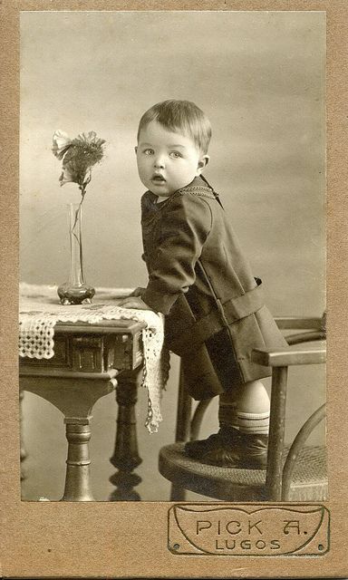 an old photo of a young boy sitting at a table with a flower in his hand