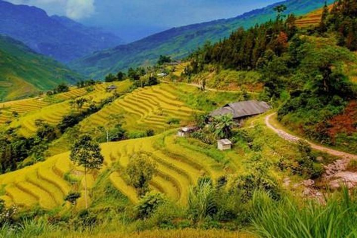 rice terraces in the mountains with houses and trees on each side, surrounded by greenery