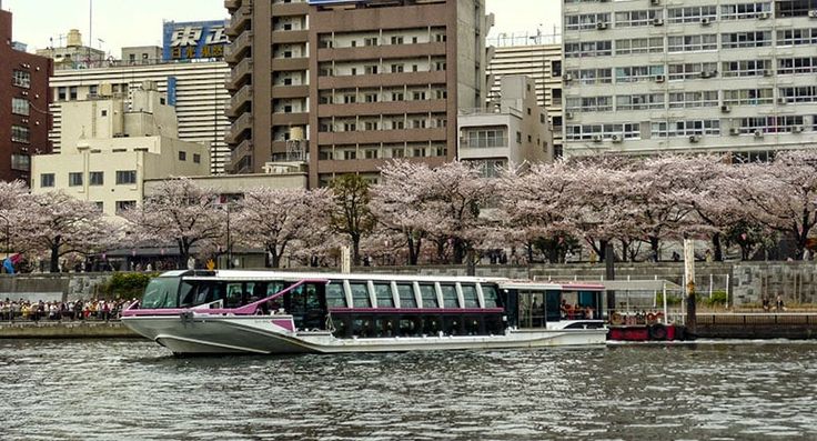 a boat is traveling down the river in front of some tall buildings and cherry blossom trees