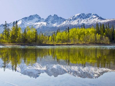 a mountain range is reflected in the still water of a lake surrounded by evergreen trees