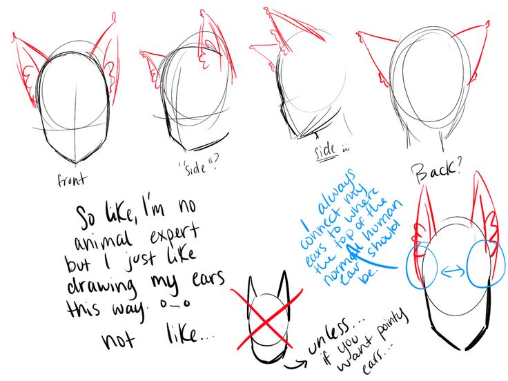 an image of how to draw cat ears