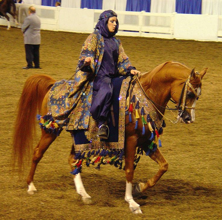 a woman riding on the back of a brown horse