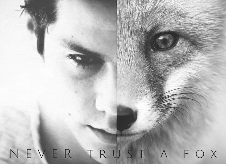 Stiles #TeenWolf ''Never trust a fox!'' | Attori