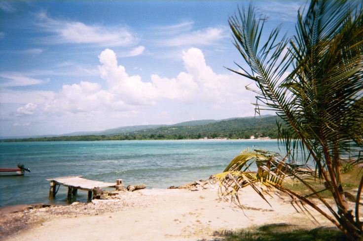 a boat is docked on the shore of a tropical beach