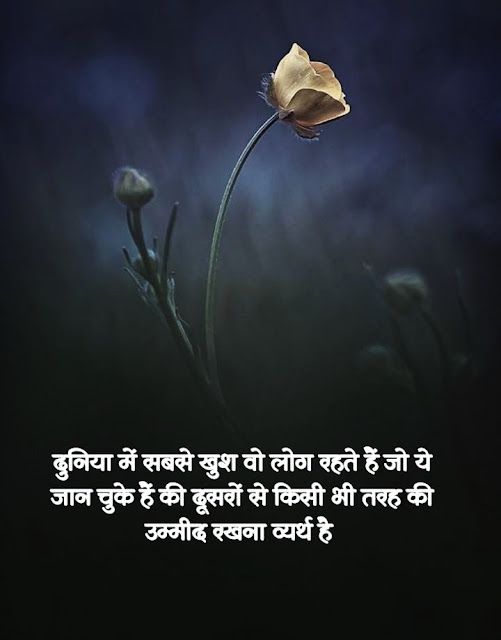 Life Quite Deep In Hindi, Life Quotes In Hindi Truths, Life Reality Quotes In Hindi, Deep Meaning Quotes In Hindi, Quotes Deep Feelings In Hindi, Self Love Quotes In Hindi, Life Thoughts Hindi, Reality Quotes In Hindi, Real Life Quotes In Hindi