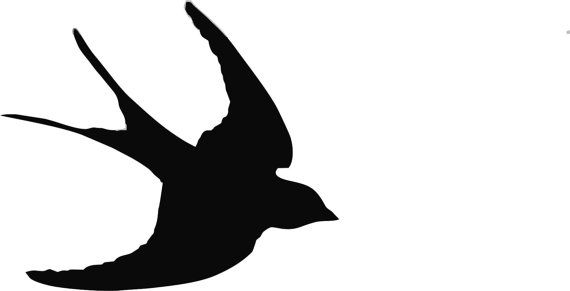 a black bird flying in the sky