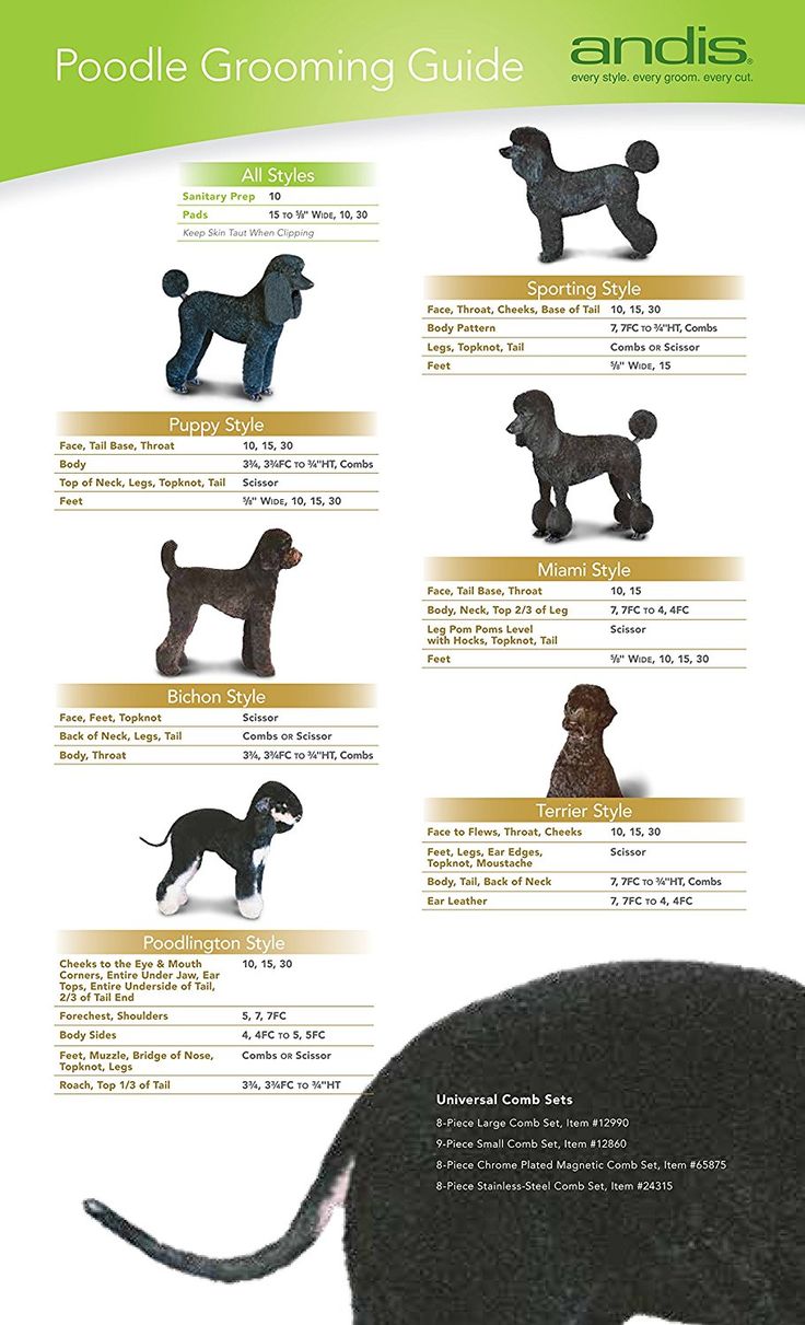 an image of a dog grooming guide