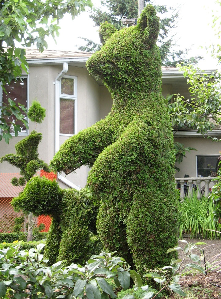 Boxwood garden, Topiary, Green animals