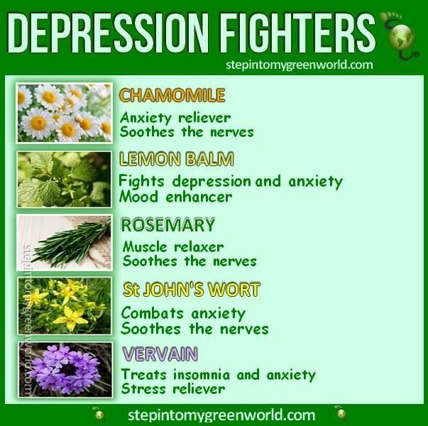 St. John’s wort for depression Herbal Healing, Healing Herbs, Lemon Balm, Health Blog, Health Info, Natural Treatments, Natural Medicine, Herbal Medicine, Health Remedies