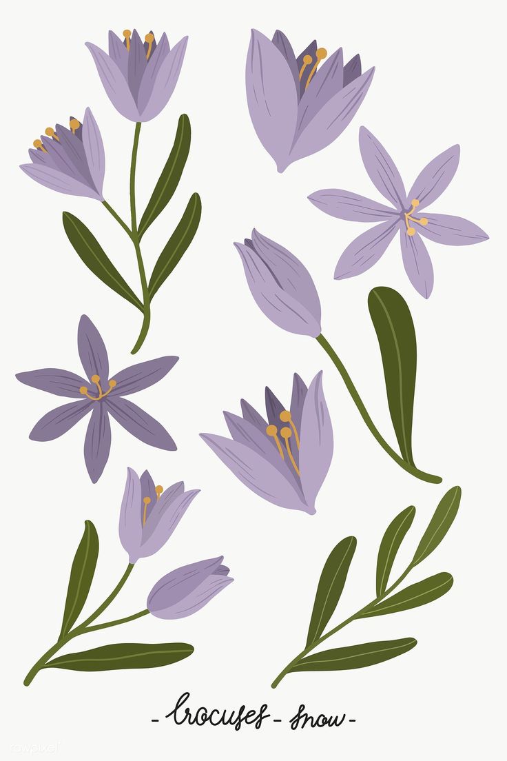 purple flowers with green leaves and the words croceff - grow on them