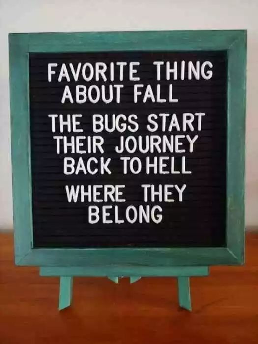 a sign that reads favorite thing about fall the bugs start their journey back to hell where they belong