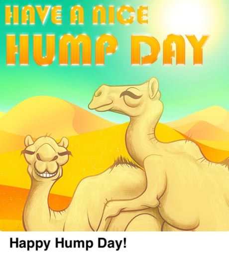 a happy hump day card with an image of two camels and the words have a nice hump day