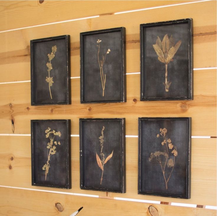 four framed pictures with flowers and leaves on them