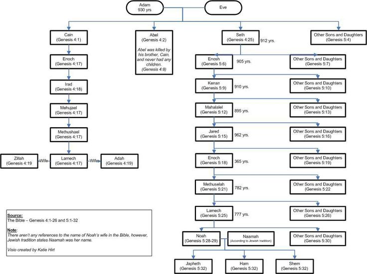 a flow diagram with several different types of items in each section, including the name and number