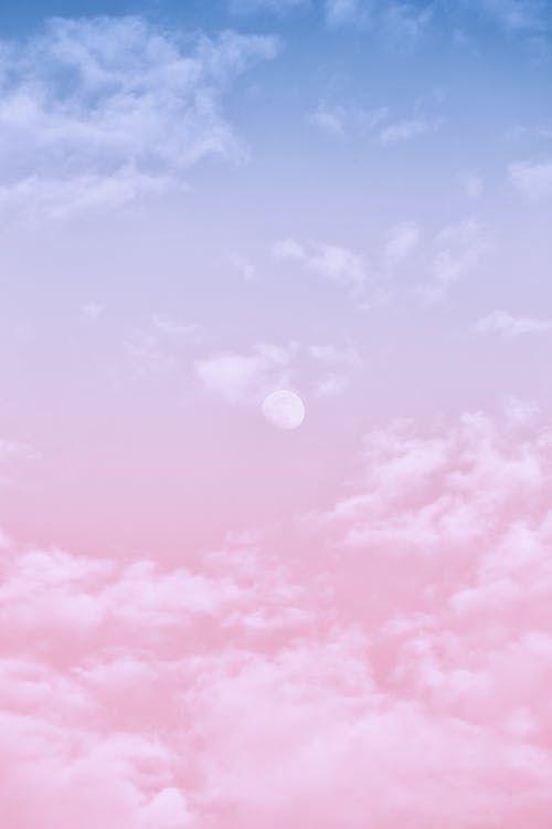 White Clouds in Pink and Blue Clouds · Free Stock Photo in 2020 | Pink ...