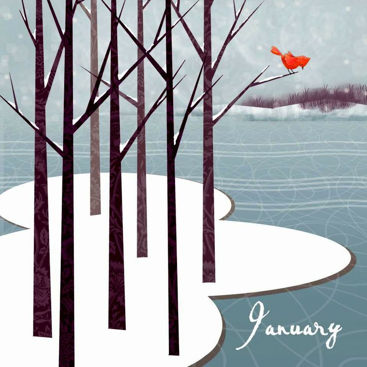 a red bird sitting on top of a tree filled forest next to the ocean in winter